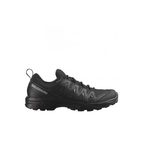 Salomon 471804 X BRAZE GTX Παπούτσια black/feather gray