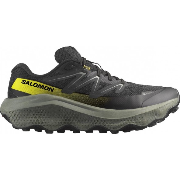 Salomon L4788320030 ULTRA FLOW 2 GTX Black/Sedona Sage